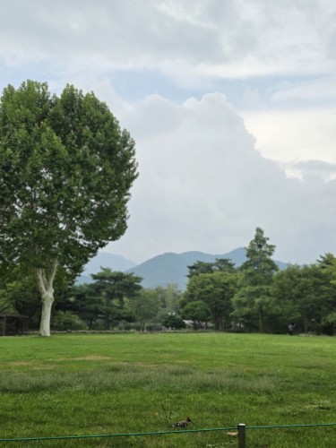 특선 수목원에서 만난 내 비밀친구, 후투티 - 최슬비