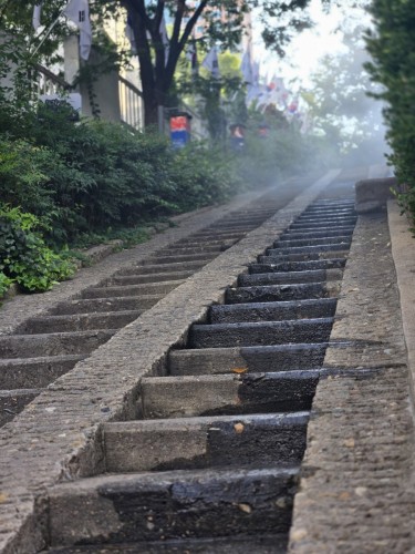 금상 그날의 아침- 최민경