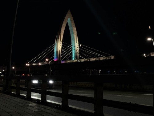 입선 어두움을 품은 오색빛깔 팔달교 - 이윤성