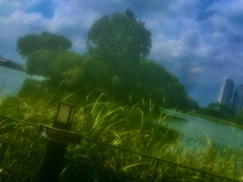 입선 레전드 수성못 - 원동은