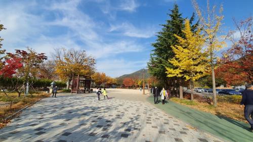 [입선]이가윤 - 월광수변공원의 가을1
