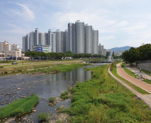 특선 심주환 대구의 물줄기 신천