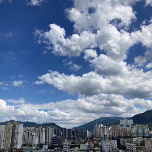 입선 이승아 산과 도시