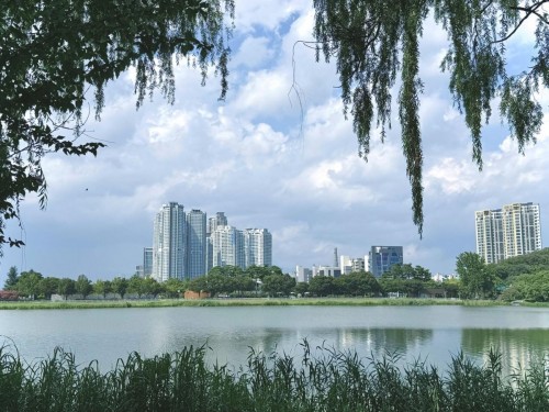 금상-도시를 감싼 구름-장유하