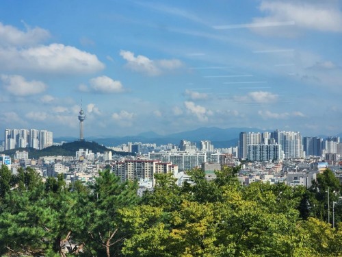 특선-푸른 숲 너머로 본 대구 전경-박승우